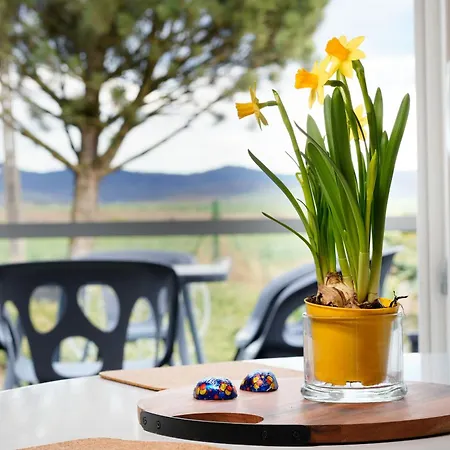 Margarett - Cozy House Jaszkowa Dln. Alpehytte Kłodzko